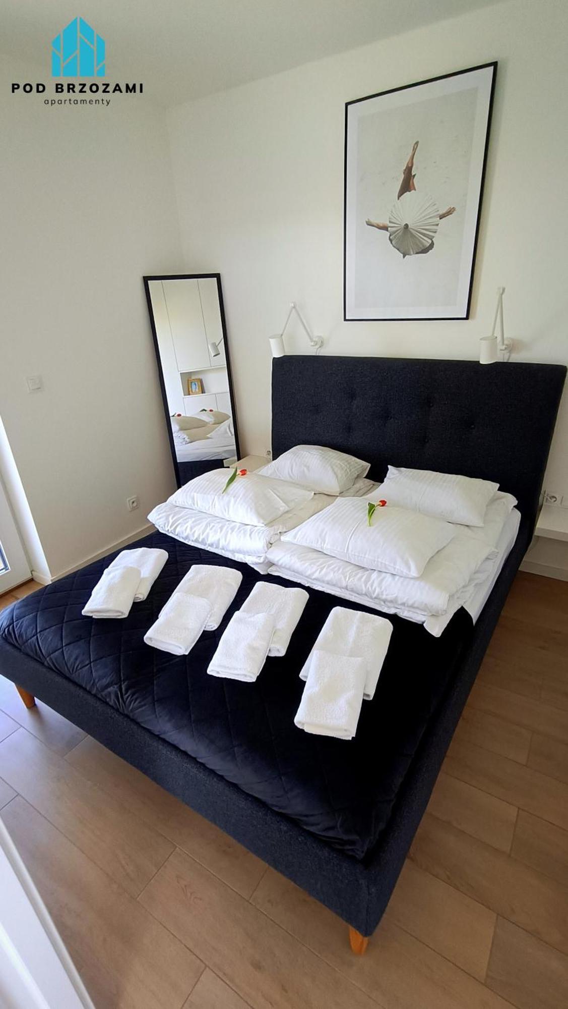 Pod Brzozami Apartamenty Gaski Extérieur photo